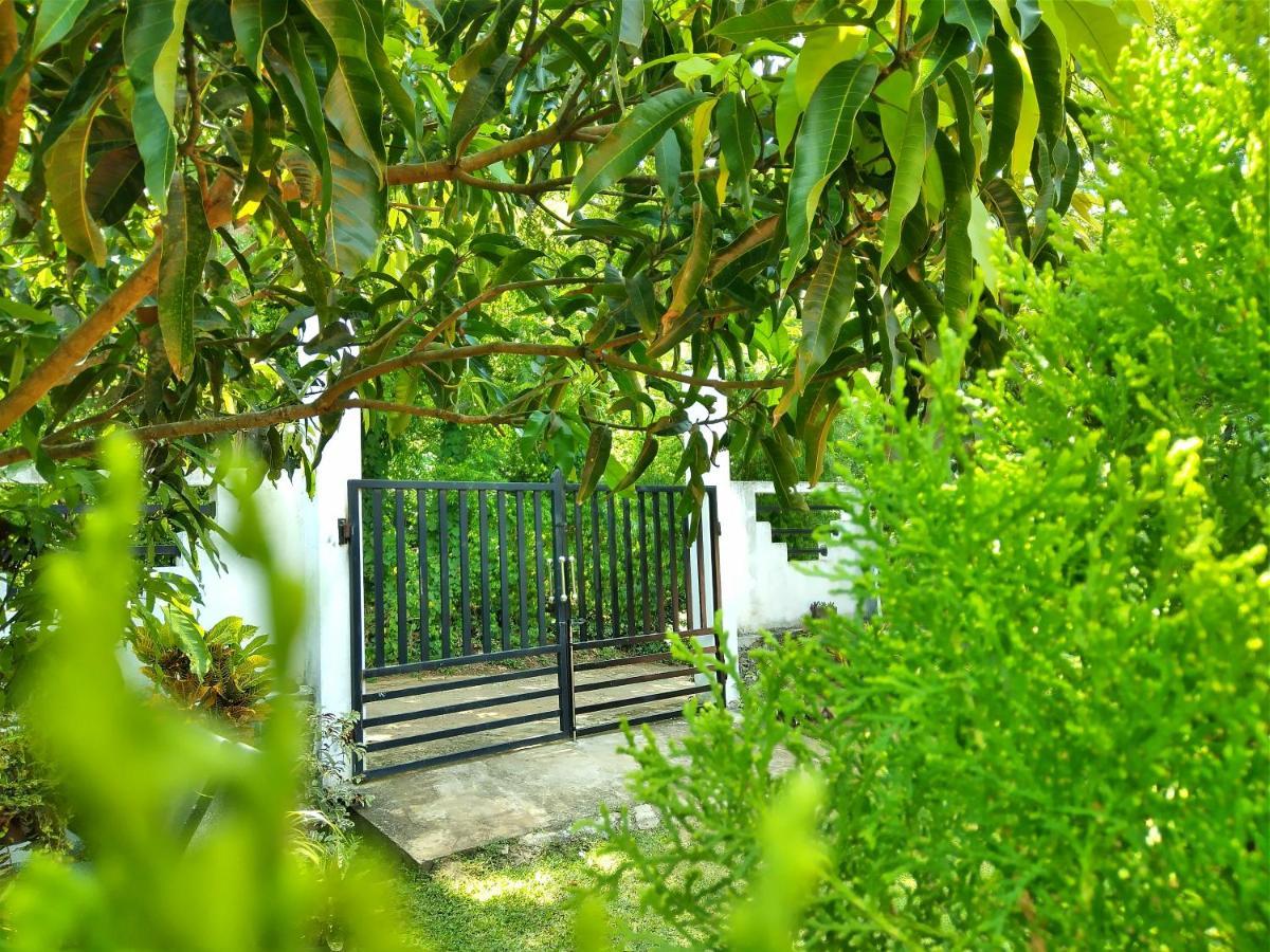 Sandhara Home Stay Tangalle Ngoại thất bức ảnh