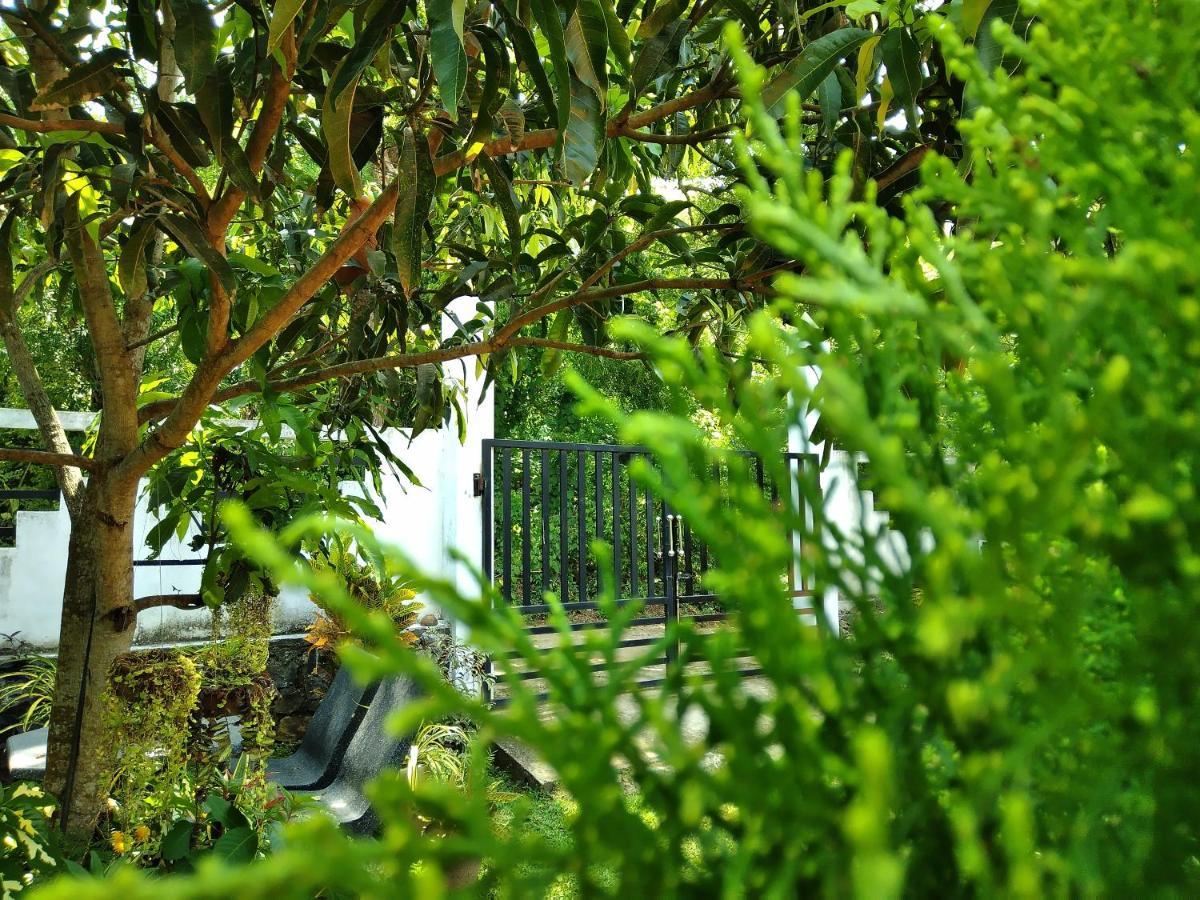 Sandhara Home Stay Tangalle Ngoại thất bức ảnh